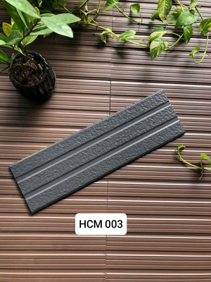 Việt Nhât HCM 003